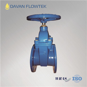 gate valve