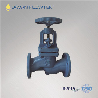 globe valve