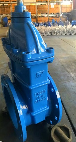 ttv gate valve