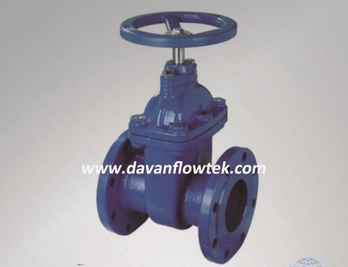 BS5163 resilient seat gate valve flange type