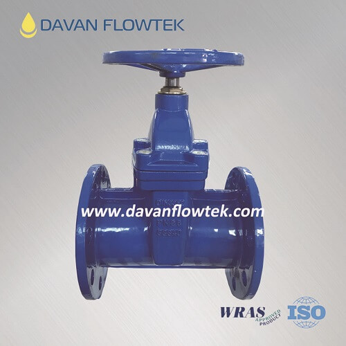 PN25 resilient seat gate valve