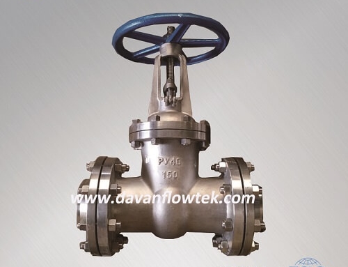 PN40 gost gate valve wcb flange type