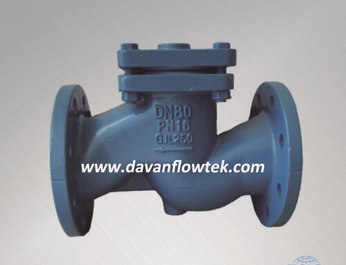 cast iron lift check valve PN16