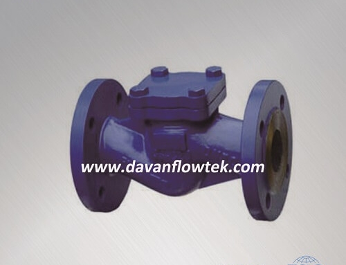 cs lift check valve PN16