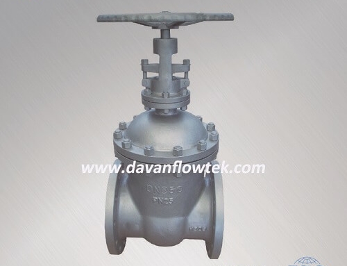 din stainless steel gate valve standard PN25