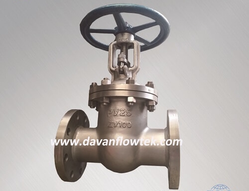 gost gate valve wcb PN25 flange type