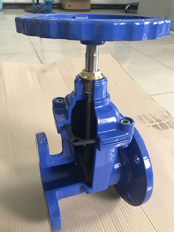 gate valve sample