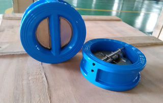 Wafer dual plate check valve
