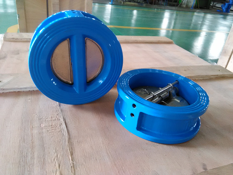 Wafer type check valve deals