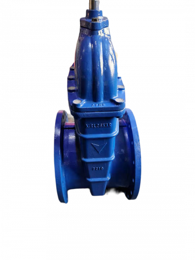 Kirloskar valve davan flowtek